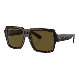 Square Sunglasses RB4408