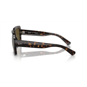 Square Sunglasses RB4408