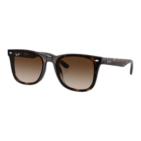 Square Sunglasses RB4420
