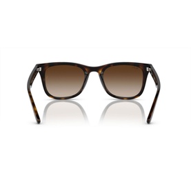 Square Sunglasses RB4420