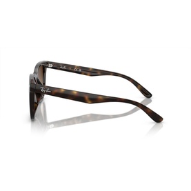 Square Sunglasses RB4420