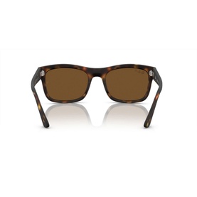 Square Sunglasses RB4428