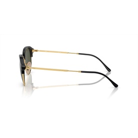 Irregular Sunglasses RB4429