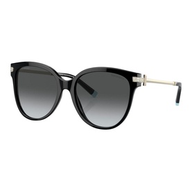 Pillow Sunglasses TF4193B