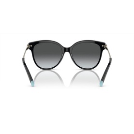 Pillow Sunglasses TF4193B