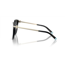 Pillow Sunglasses TF4193B