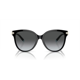 Pillow Sunglasses TF4193B