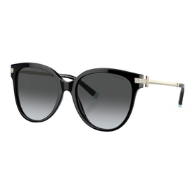 Pillow Sunglasses TF4193B
