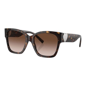 Square Sunglasses TF4216