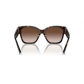 Square Sunglasses TF4216