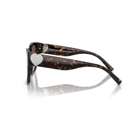 Square Sunglasses TF4216
