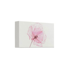 The Ritual of Sakura - Small Gift Set