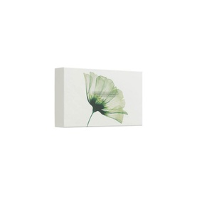 The Ritual of Jing - Small Gift Set