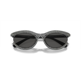 Oval Sunglasses SK6006