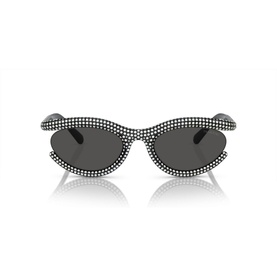 Oval Sunglasses SK6006