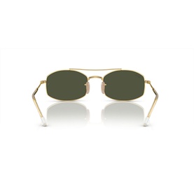 Oval Sunglasses RB3719