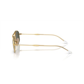 Oval Sunglasses RB3719