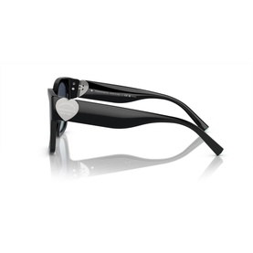 Square Sunglasses TF4216
