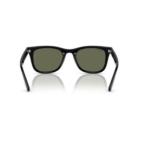 Square Sunglasses RB4420