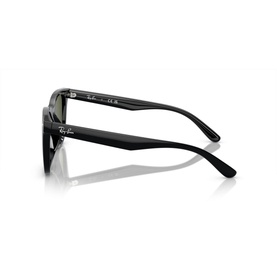 Square Sunglasses RB4420