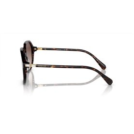 Irregular Sunglasses SK6003