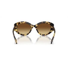 Irregular Sunglasses SK6005