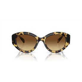 Irregular Sunglasses SK6005
