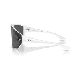Irregular Sunglasses VE4461