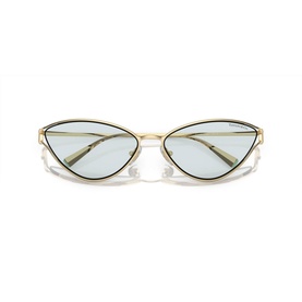 Cat Eye Sunglasses TF3095