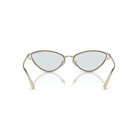 Cat Eye Sunglasses TF3095