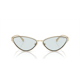 Cat Eye Sunglasses TF3095