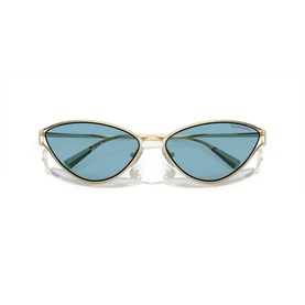 Cat Eye Sunglasses TF3095