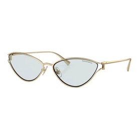 Cat Eye Sunglasses TF3095
