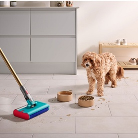 V15s Detect Submarine Wet and Dry Vacuum Cleaner