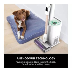 Detect Pro Cordless Auto Empty 2L Stick Vacuum Cleaner 