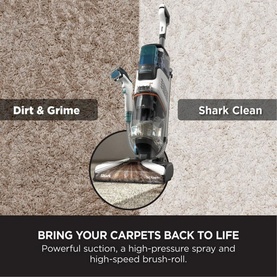 Carpet Expert & Stain Striker