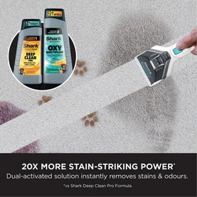 Carpet Expert & Stain Striker