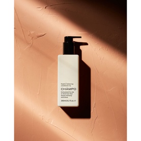 Kapha Balancing Conditioner