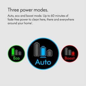 V12 Detect Slim Absolute Cordless Stick Vacuum Cleaner