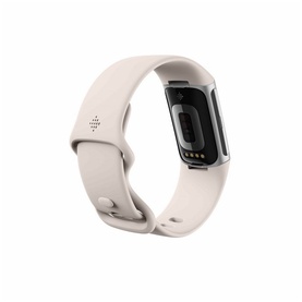 Charge 6 Porcelain/Silver Case