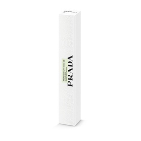 09 Lip Filling Brush