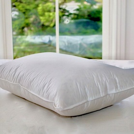 Hungarian Duck Down Pillow