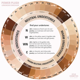 Power Plush Liquid Concealer