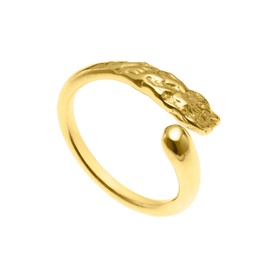 Open Seas Ring