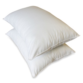 Aloe Vera Pillow Pair