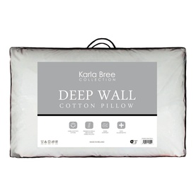Deep Wall Pillow
