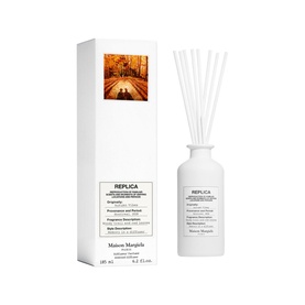 Autumn Vibes Diffuser