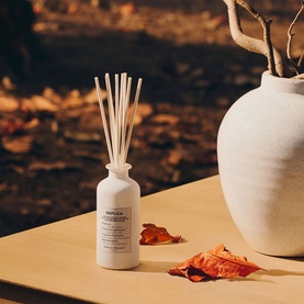 Autumn Vibes Diffuser
