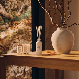 Autumn Vibes Diffuser