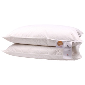Duck Feather & Down Pillow Pair